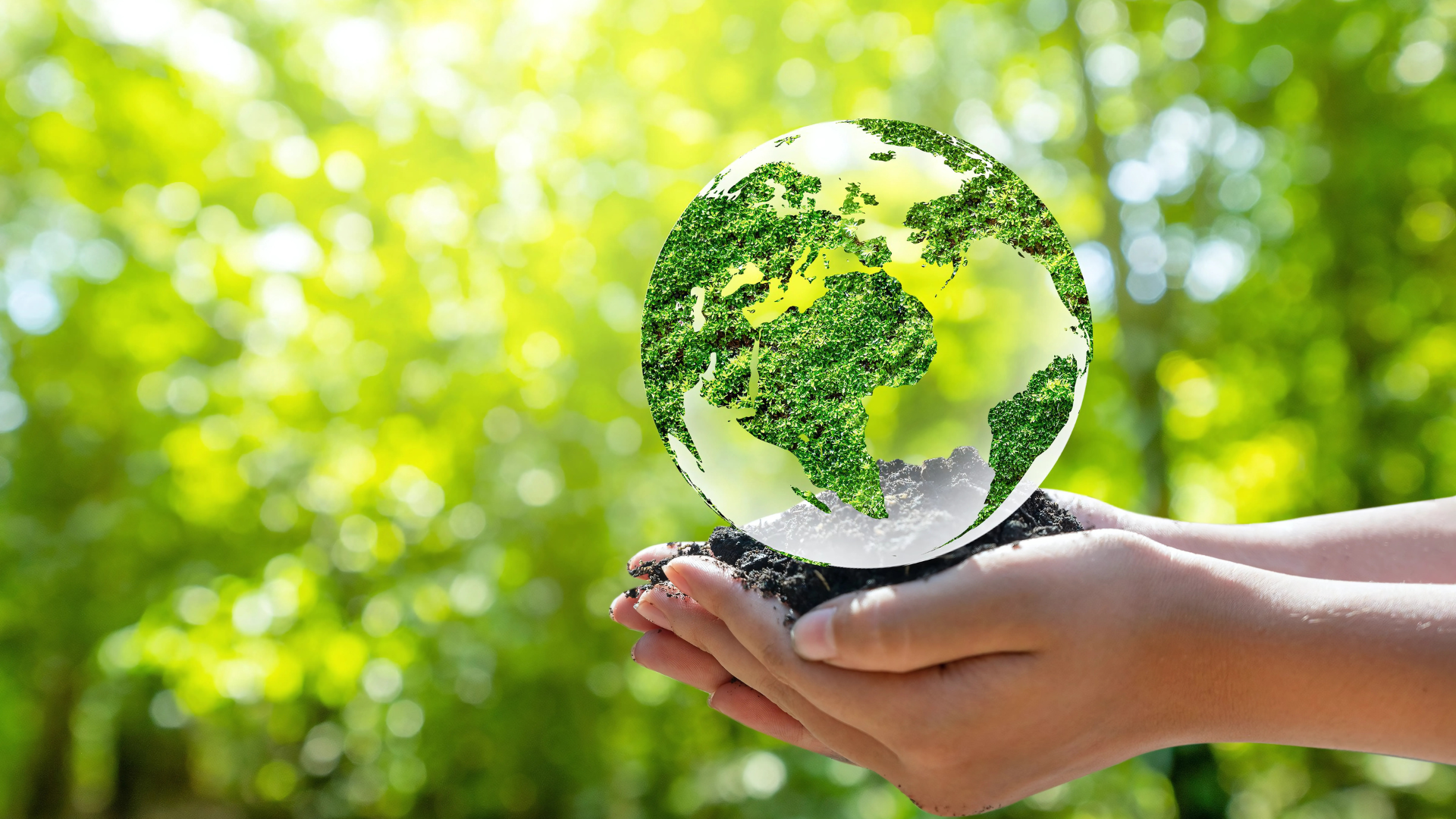 Eco Sentral